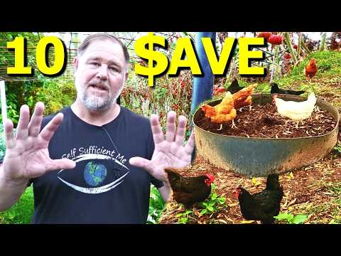 10 SUSTAINABLE Ways to SAVE Money!