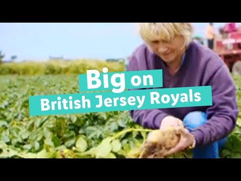 Big on British Jersey Royals | Lidl GB