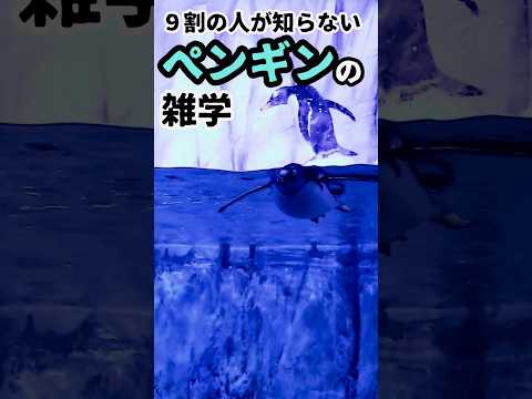 ９割の人が知らないペンギンの雑学　#Shorts 短い達人の教え #トリビア  #1分雑学 #動物