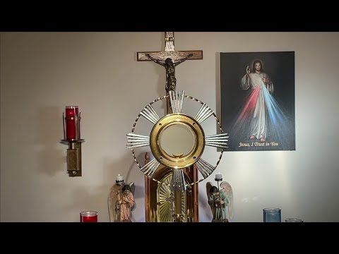 12pm Angelus & Holy Rosary  - Sisters of Divine Mercy