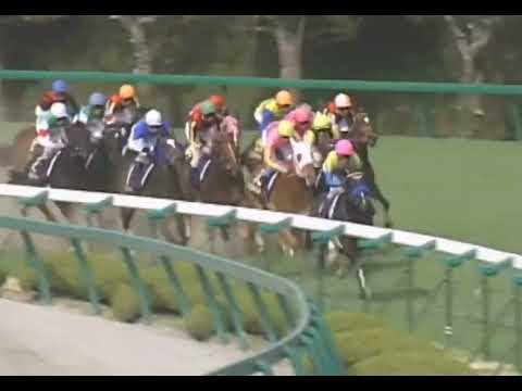 ラインクラフト 2005年 第65回桜花賞(GI) (優勝馬：ラインクラフト) (実況：ラジオNIKKEI)