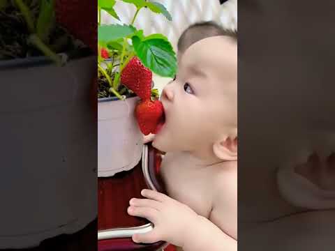 Cute baby eating😍😍😍 #cutebaby #eating #shorts #ytshorts #baby