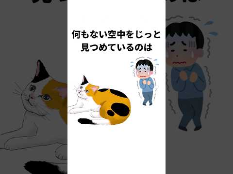 仕草で理解する猫の心理雑学#shorts  #雑学