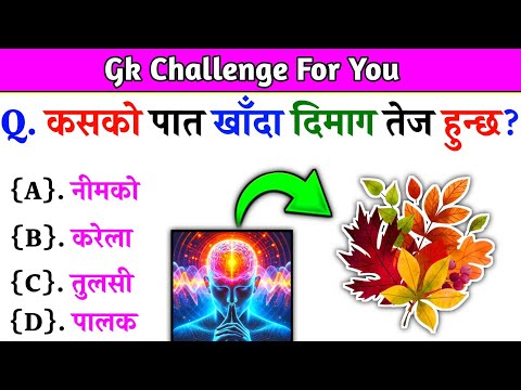 Gk Questions And Answers in Nepali।। Gk Questions।। Part 532।। Current Gk Nepal