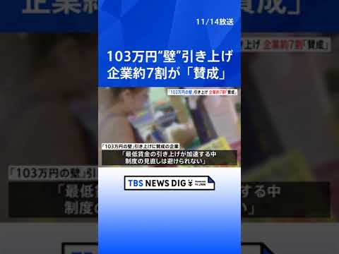 「103万円の壁」引き上げに「賛成」67.8％　全国約1700の企業にアンケート調査　帝国データバンク｜TBS NEWS DIG #shorts