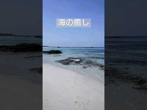 海の癒し⚓疲れた貴方へ#深呼吸#ヒ―リング#運気アップ #short #自由な天使tarot