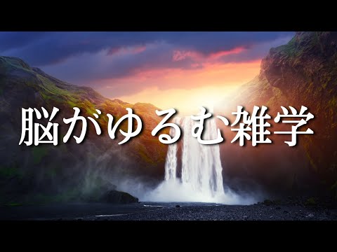 雑学で「睡眠の質」を変えませんか？ | おやすみなさい