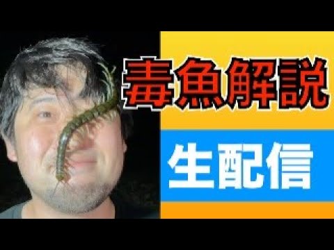 魚の刺毒についての解説と今後の当チャンネルについて