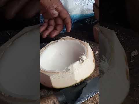 SARIWANG KATAS AT LAMAN NG BUKO #satisfying #buko #bukojuice #streetfood #youtubeshorts #Gatchie Jr