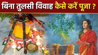 Tulsi Vivah Puja 2024: बिना तुलसी विवाह पूजा कैसे करें, Tulsi Puja Kaise Karen |