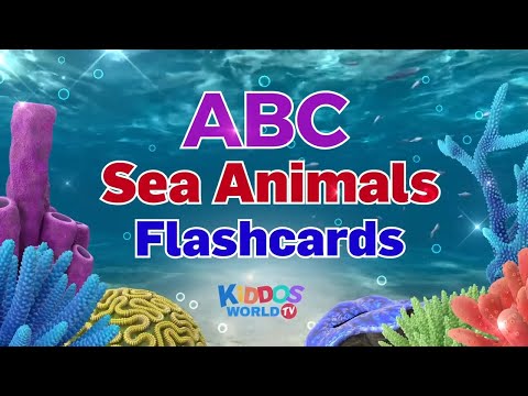 The Sea Animal Alphabet Names and Videos from A-Z