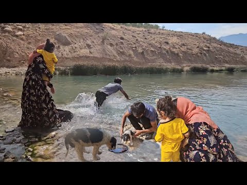 Saving a dog: Soraya's adventure to Tayyaba's farm