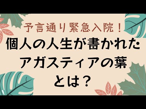 予言通り緊急入院！個人の予言が書かれたアガスティアの葉とは🍃カルマの解消とは？アカシックレコード？　#アガスティアの葉 #予言 #アカシックレコード