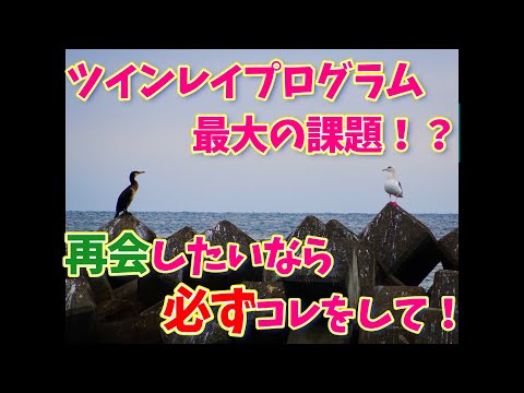 【ツインレイ】再会・統合したいなら必ずコレをして！ツインレイプログラム最大の課題をお伝えします