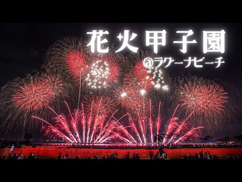 【4K】全国の花火師が競う「花火甲子園」　蒲郡の夜空と海を彩る