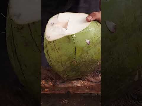 super fantastic coconut cutting ASMR #satisfying #cuttingskills #streetfood #youtubeshorts #Gatchie