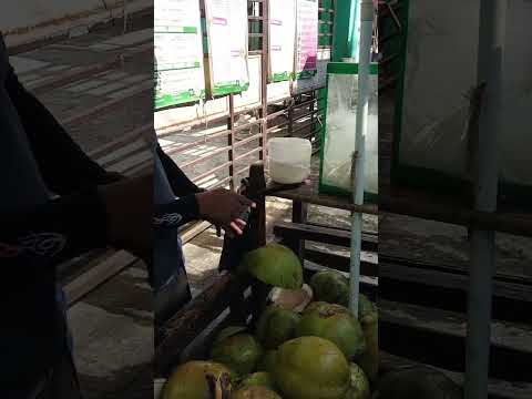 kinayod na laman ng sariwang BUKO pH street food #satisfying #streetfood #youtubeshorts #Gatchie Jr