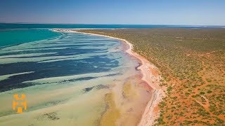 The Pristine West Coast | Australia Discoveries | World Nomads