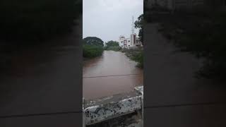 #flood  #rain #rainfall2021 #rainfall #raining #tnrainfall #tnrains #tnrain overrainfall#kulam