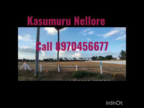 Open plots @kasumuru Nellore ,📞8970456677 #openplotsinnellore #openplots #nellorecity #kasumuruplots