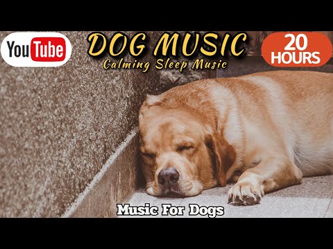 20 HOURS of Dog Calming Music🐶🎵Music For Dog Calmness🐶💖Separation Relief Music⭐Healingmate