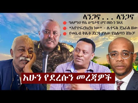 Ethiopia ዘ ኢትዮጵያ የዕለቱ ዜና | The Ethiopia Daily Ethiopia News November 9, 2024 | The Ethiopia Channel