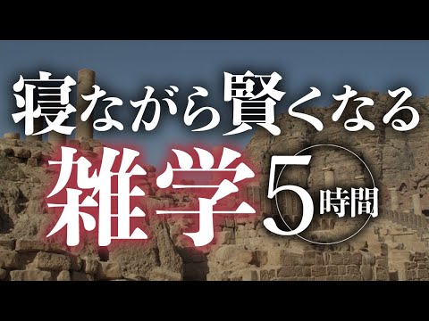 【睡眠導入】寝ながら賢くなる雑学5時間【合成音声】