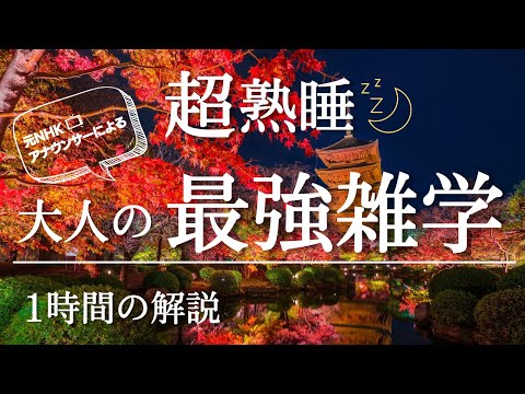 【睡眠導入】良質睡眠の大人の雑学【まだ眠れていないあなたへ】