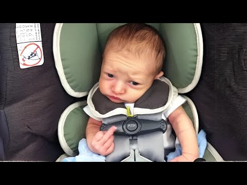 Hilarious Baby Videos of the Month - Funny Baby Compilation!