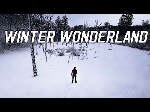 Danish Winter wonderland