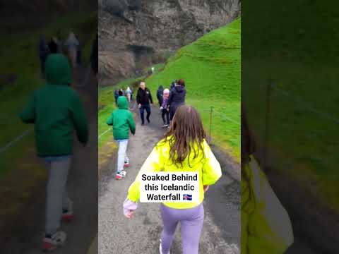 SOAKED Behind this Waterfall in ICELAND IS #shorts #iceland #seljalandsfoss