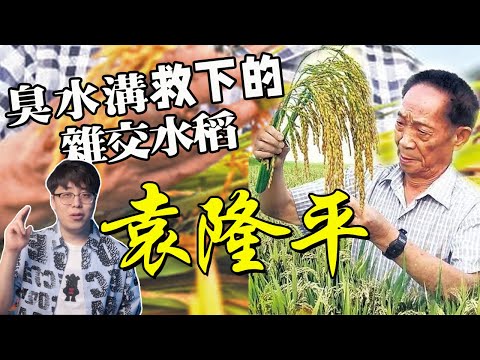 袁隆平：現實中的的超級英雄 - 本可當官卻一心做農民，層層歷練後，他救了14億人的命｜最全面講述雜交水稻之父｜江湖舉人