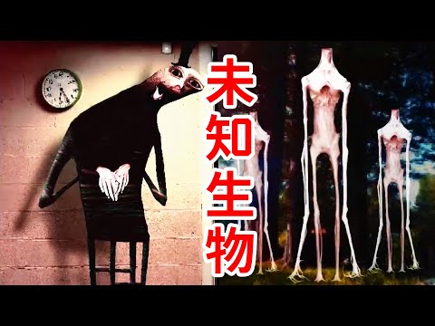 偽床？無頭生物？神秘方尖碑？詭異無比的怪物匯編！第一集介紹！The Oddity Compendium