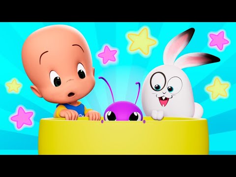 Magical Bugs | Toddlers Learning | Cleo & Cuquin