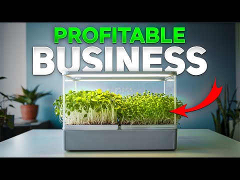 How to Start a Profitable Microgreens Farming for Beginners | Growing to Selling Complete Guide