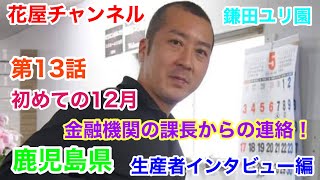 【花屋チャンネル】初めての年末‼️金融機関の課長からの連絡‼️生産者インタビュー‼️鹿児島県の百合農家‼️鎌田洋平さんの開業話#鎌田ユリ園#百合農家#オリエンタル#百合#鹿児島#鎌田洋平#生産者#ユリ