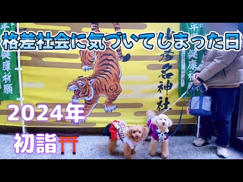 【モコが格差社会に気付いてしまった日🐶】2024年初詣✨少彦名神社⛩️