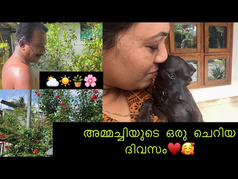 അമ്മച്ചിയുടെ ഒരു ചെറിയ ദിവസം♥️🥰|⛅️☀️🪴🌸|YOUTUBE CHANNEL|SUBSCRIBE|LIKE SHARE COMMENT ♥️👍🏻🔔 #dayvlog♥️