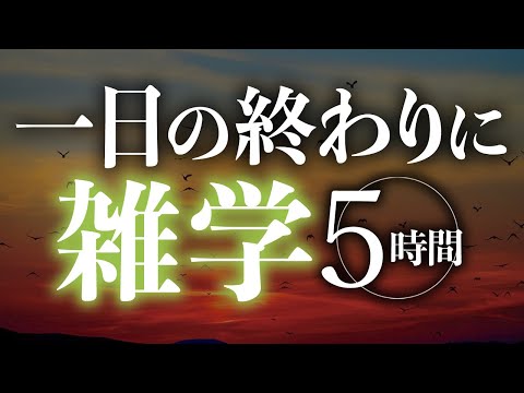 【睡眠導入】一日の終わりに雑学5時間【合成音声】