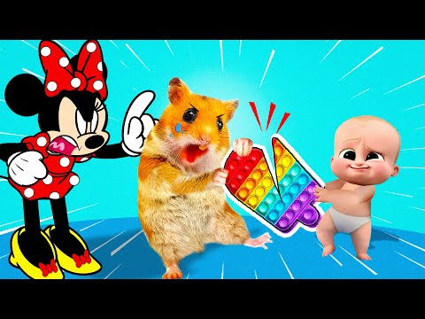 The Awesome Hamster Ball Pool Maze! Hamster HamHam VS Bro Pop It Battle