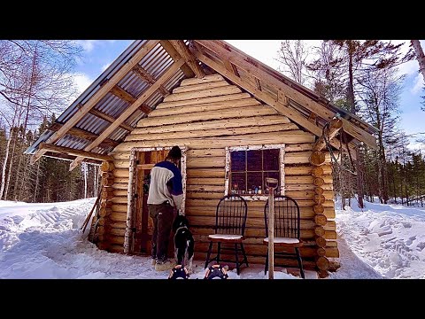 Off Grid Log Cabin Propane Stove Swap, More Snow, And Tapping Trees