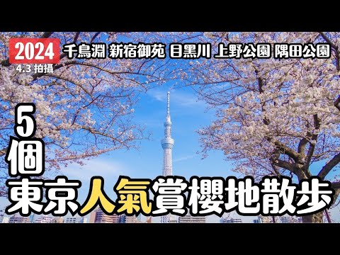 東京櫻花2024🌸 雨中的5個人氣賞櫻地櫻花散步 千鳥淵 目黑川 新宿御苑 上野公園 淺草隅田公園｜賞櫻重點整理｜日本東京賞櫻攻略 4K VLOG