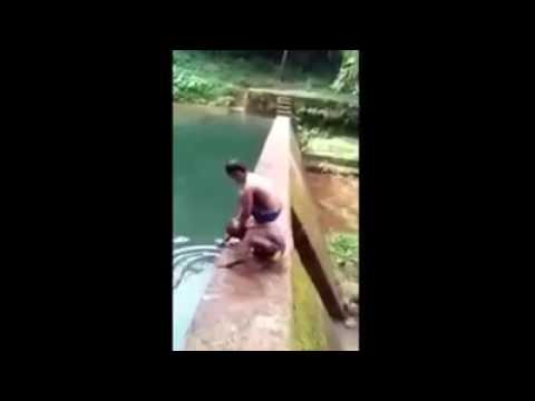 Top 10 funny videos