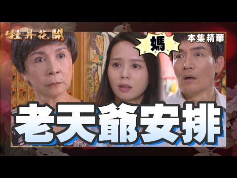 【牡丹花開】EP104 失憶的人都在這裡  │ 台視經典戲劇 │ Peony In Bloom