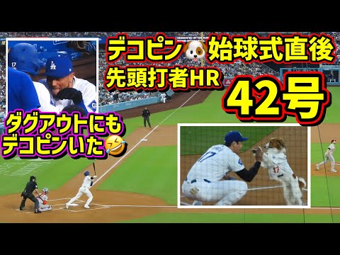 42号‼️デコピン効果？先頭打者HR🤩その時ダグアウトにいたデコピン🤣 【現地映像】8/28vsオリオールズ ShoheiOhtani Dodgers