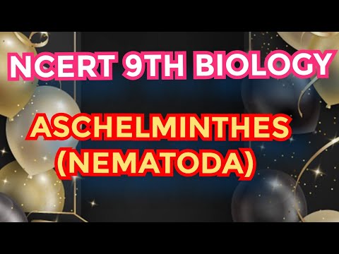 ASCHELMINTHES PHYLUM