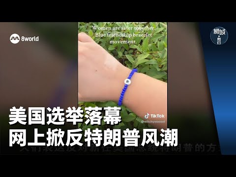 狮城有约 | 科技一点通：美国选举落幕 网上掀反特朗普风潮