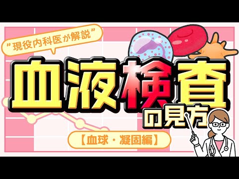 血液検査の見方②【血球系・凝固系編】” 現役内科医が解説 “