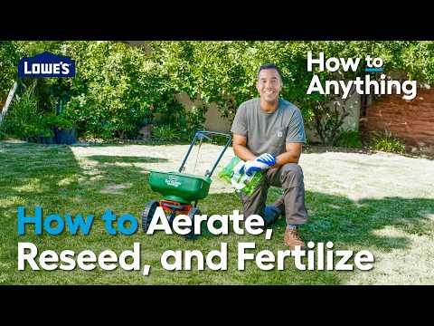 Fall Lawn Care 101 – Aerate, Reseed, and Fertilize | How to Anything