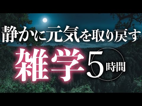 【睡眠導入】静かに元気を取り戻す雑学5時間【合成音声】